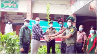 শিবপুরে আনসার ও ভিডিপি’র উদ্যোগে বৃক্ষরোপণ কর্মসূচি পালন শিবপুরে আনসার ও ভিডিপি’র উদ্যোগে বৃক্ষরোপণ কর্মসূচি পালন